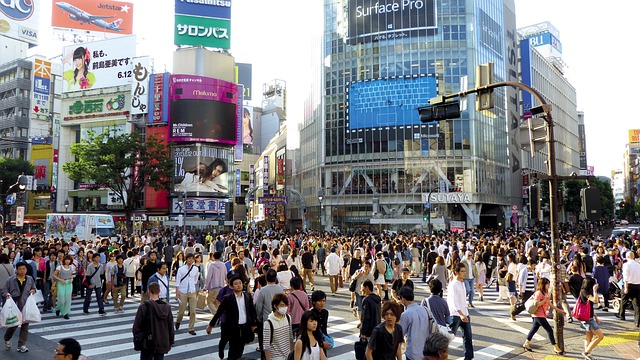 japan-gf95437e1a_640