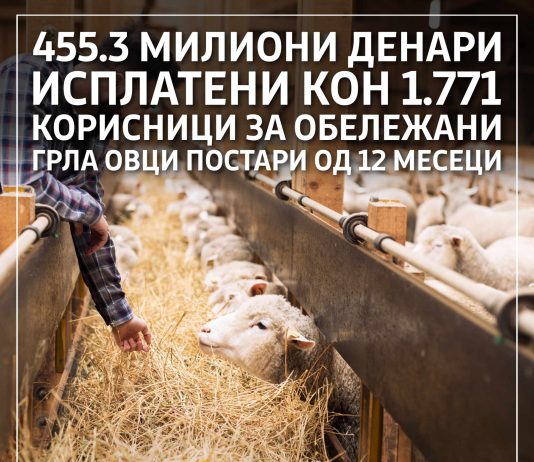 МЗШВ: Исплатени 455,3 милиони денари кон 1771 сточар за обележани грла овци постари од 12 месеци