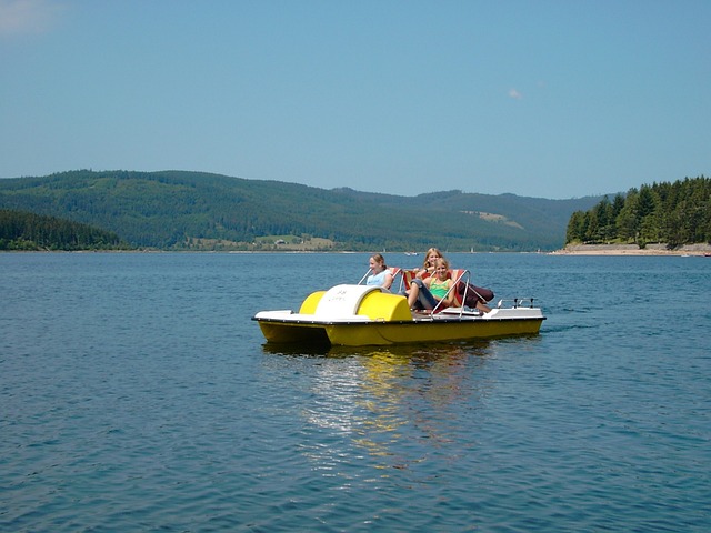 schluchsee-250788_640