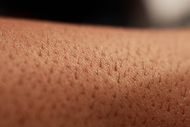 skin-222664_640
