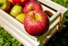 Крај за ситните земјоделци? Како новите правила за поддршка ќе го намалат домашното производство