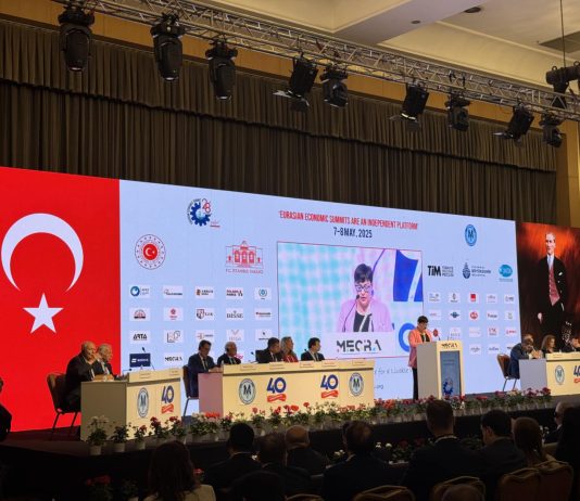 Министерката за финансии: Глобалните кризи се чувствуваат и дома