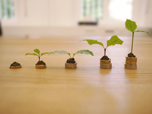 growth-4518406_640