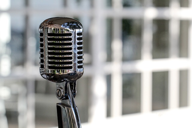 microphone-5340340_640