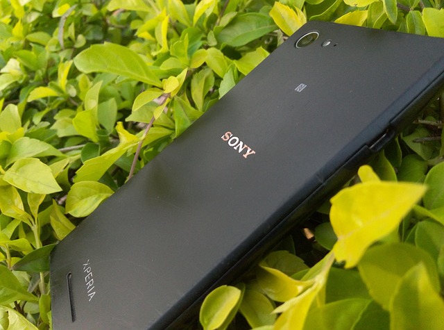 sony-1752694_640