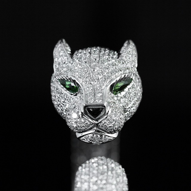 cartier-1137400_640