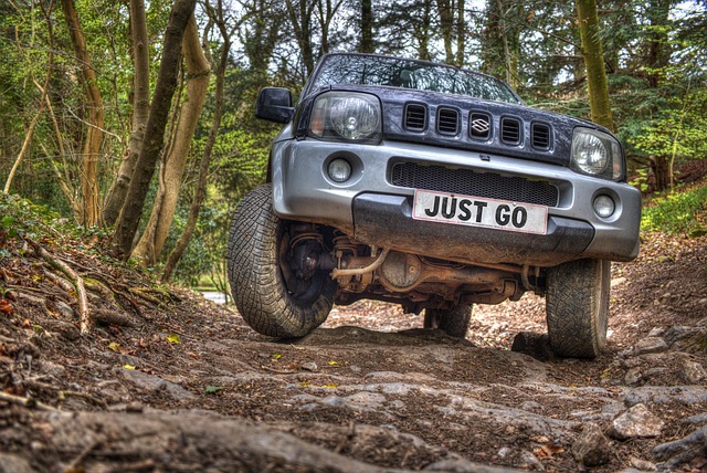 offroad-driving-2496440_640