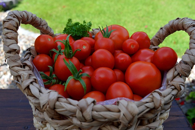 tomatoes-5486197_640