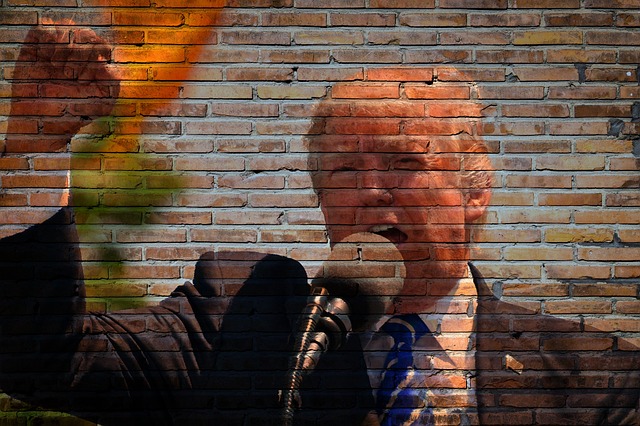 trump-2704264_640 (1)