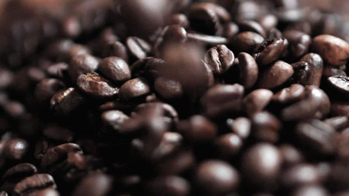 Cofee (1)
