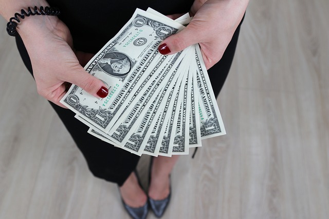 dollar-4515999_640 (1)