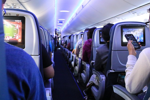 flight-4516478_640