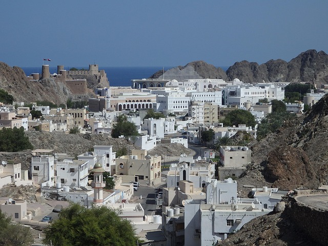 muscat-1119780_640
