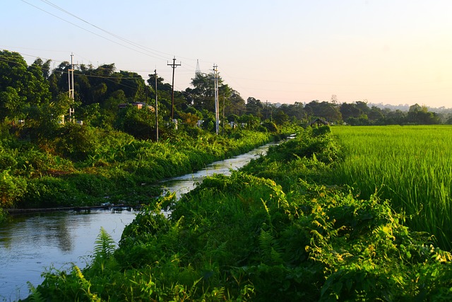 river-7527750_640
