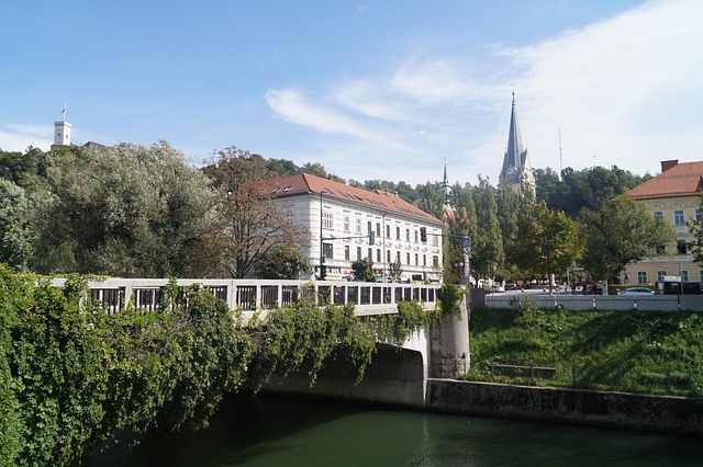 bridge-1551678_640