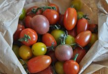 ЕП изгласа продолжување на трговските олеснувања за Западен Балкан до 2030 година