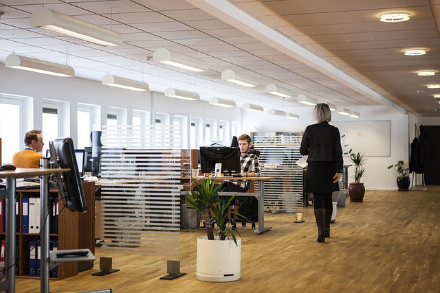louisehoffmann83-office-2360063_640