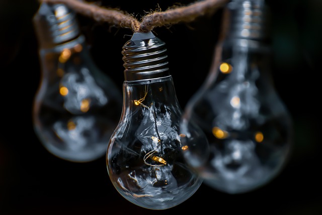 alexas_fotos-lightbulb-5352822_640