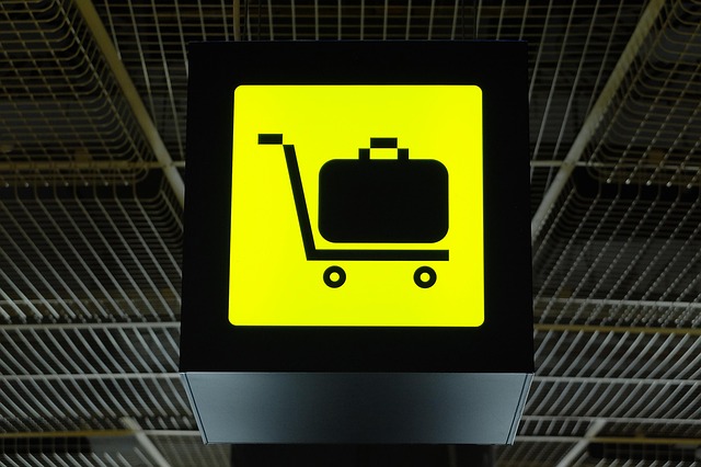 djedj-luggage-3364005_640