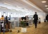 Вистина собрана во пет збора: Зошто добрите работници си заминуваат и од најбогатите компании?