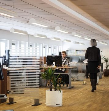 Вистина собрана во пет збора: Зошто добрите работници си заминуваат и од најбогатите компании?