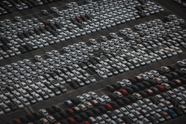 niekverlaan-car-718781_640