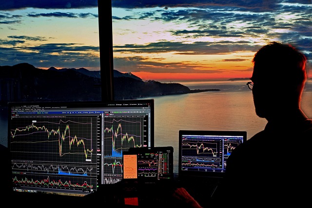 sergeitokmakov-stock-trading-6525084_640