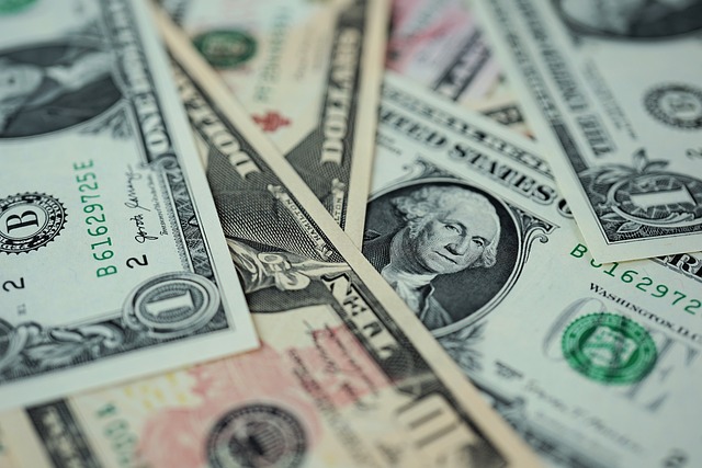 webandi-dollar-4854717_640