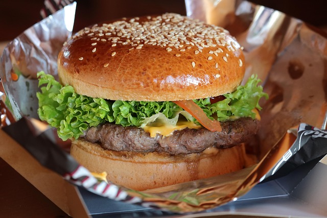 danny112-burger-3946012_640