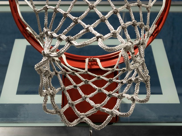 kniles340-basketball-7904175_640