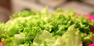 Трамп најде нови мети за царини: На Мексико поради паразити во зелената салата, на Канада поради чадот