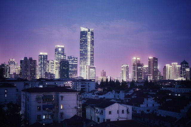 leslin_liu-shanghai-3459422_640