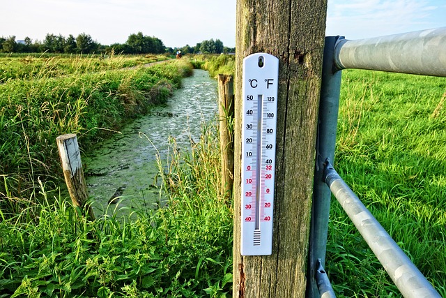 mabelamber-thermometer-2906817_640