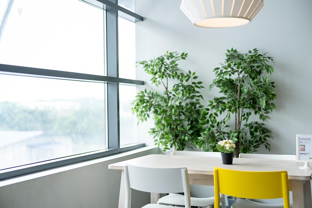 tianya1223-ikea-4048226_640