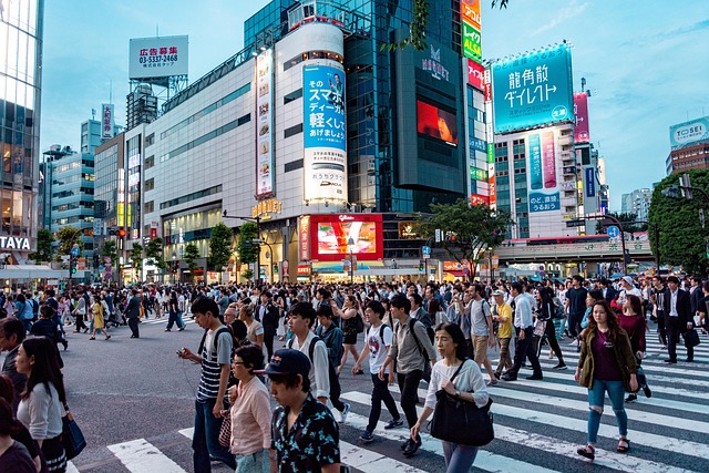 sofi5t-japan-4141578_640